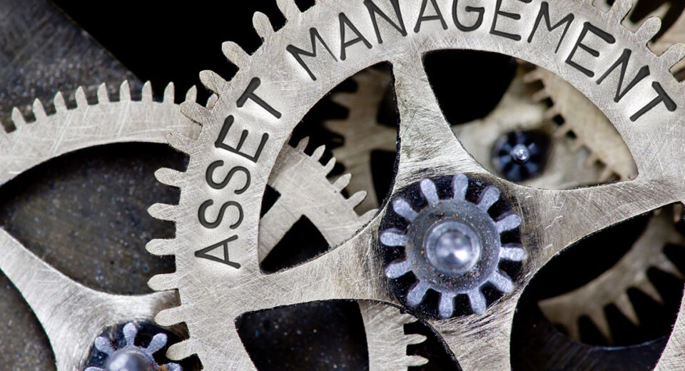 Asset Tiger Asset Management Software Review